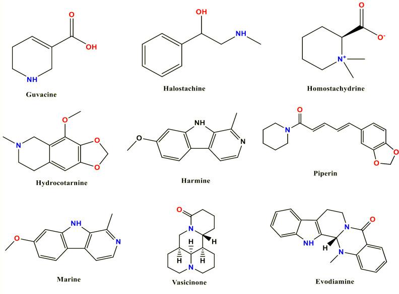 https://cdn.ncbi.nlm.nih.gov/pmc/blobs/0e5f/10469490/b0bb32175da7/fcimb-13-1222913-g001.jpg