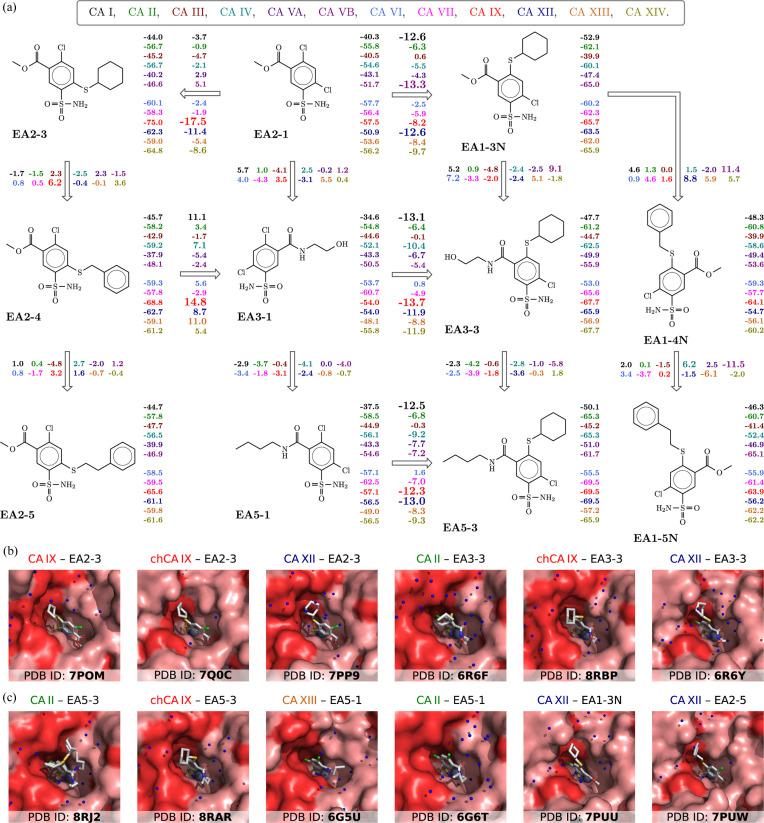 https://cdn.ncbi.nlm.nih.gov/pmc/blobs/0e5f/11220870/ec373de87943/m-11-00556-fig5.jpg