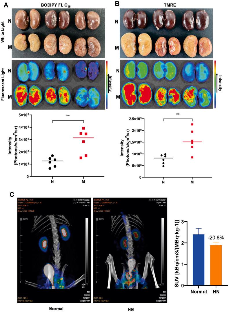 https://cdn.ncbi.nlm.nih.gov/pmc/blobs/0e61/11460510/c88874c93d08/gr7.jpg