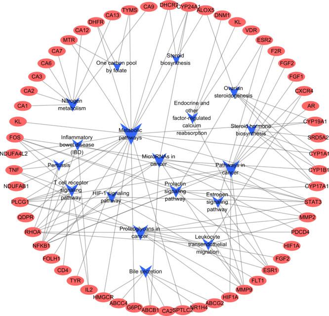https://cdn.ncbi.nlm.nih.gov/pmc/blobs/0e61/8190889/93aaae55f1c4/ao1c01847_0004.jpg