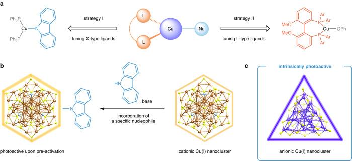https://cdn.ncbi.nlm.nih.gov/pmc/blobs/0e62/11144245/0db0446aa2d4/41467_2024_49081_Fig1_HTML.jpg