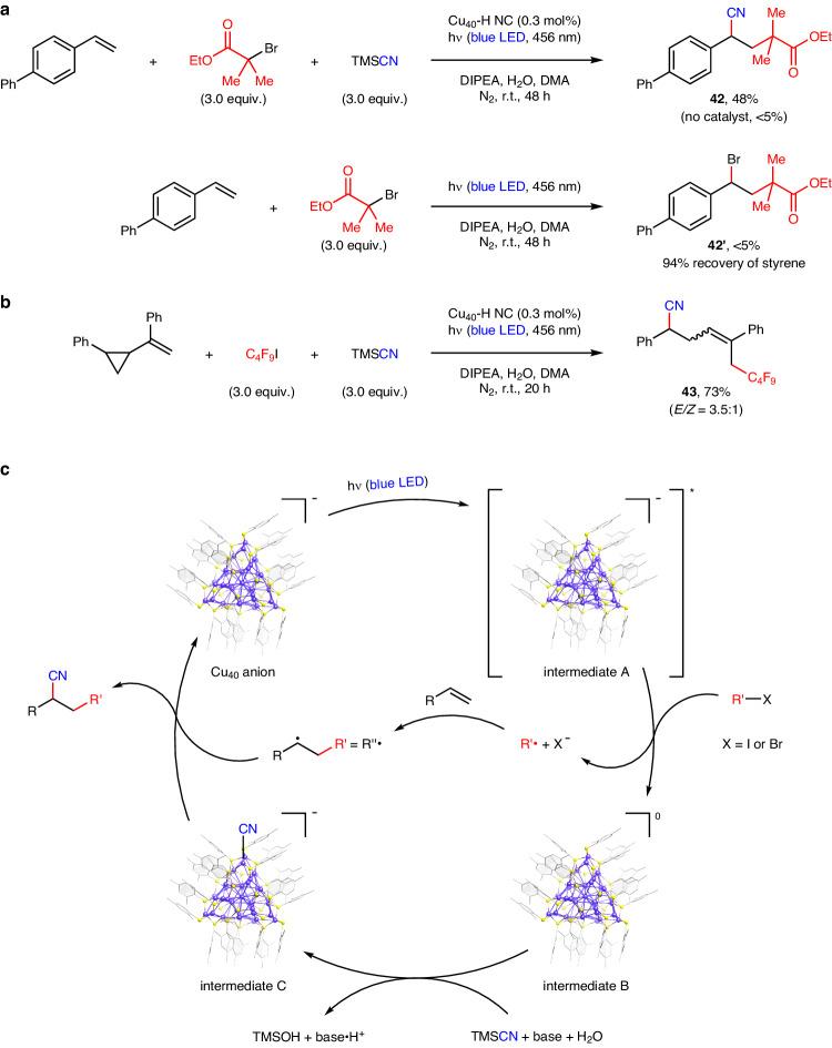 https://cdn.ncbi.nlm.nih.gov/pmc/blobs/0e62/11144245/cc4485a6142b/41467_2024_49081_Fig6_HTML.jpg