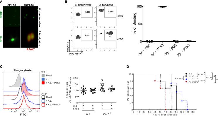https://cdn.ncbi.nlm.nih.gov/pmc/blobs/0e64/8173212/7f3f1c6068cb/fimmu-12-666198-g003.jpg