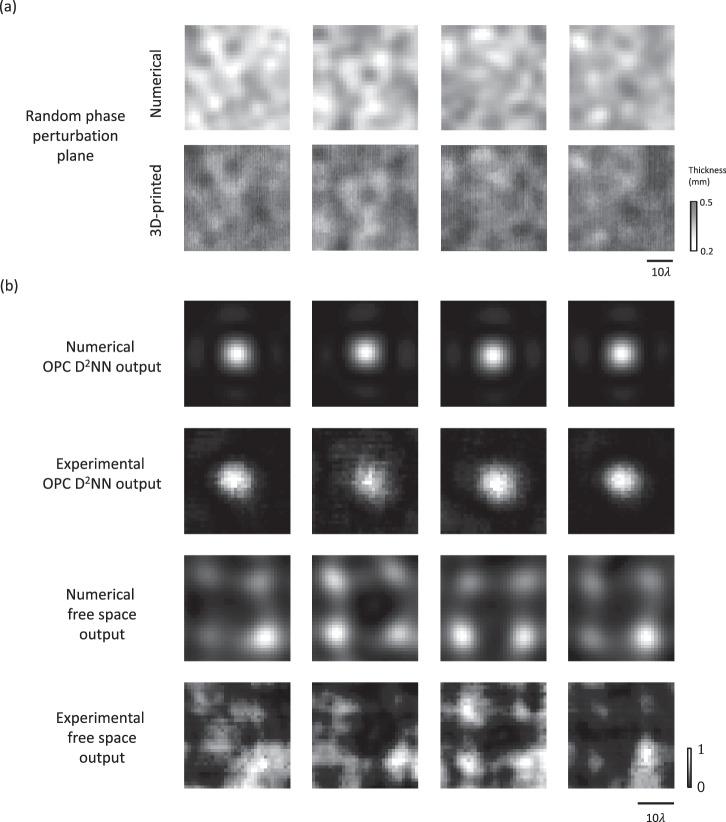 https://cdn.ncbi.nlm.nih.gov/pmc/blobs/0e66/11166986/7cb2903d501c/41467_2024_49304_Fig6_HTML.jpg