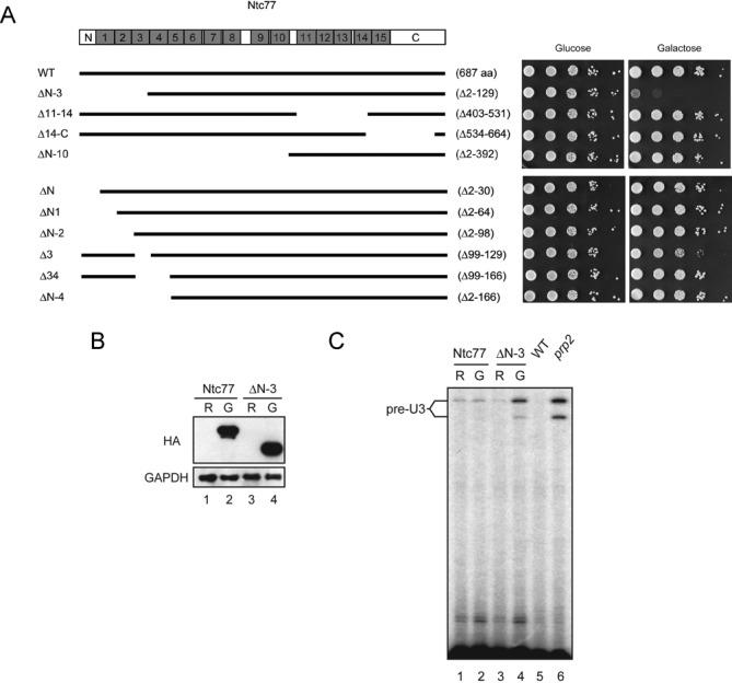 https://cdn.ncbi.nlm.nih.gov/pmc/blobs/0e66/4231770/cfc2f299848f/gku914fig2.jpg