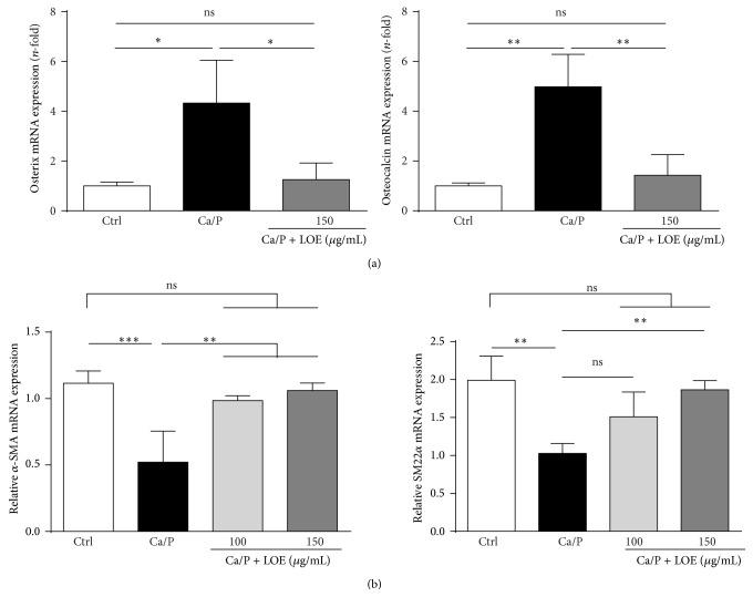 https://cdn.ncbi.nlm.nih.gov/pmc/blobs/0e66/4534752/74ae97b2770f/ECAM2015-679238.004.jpg