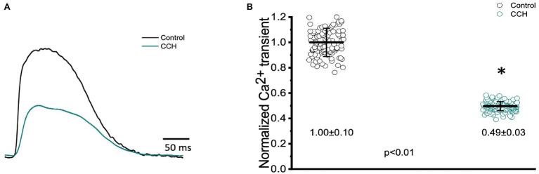 https://cdn.ncbi.nlm.nih.gov/pmc/blobs/0e6a/8864152/4d455e698f12/fphys-13-793305-g011.jpg
