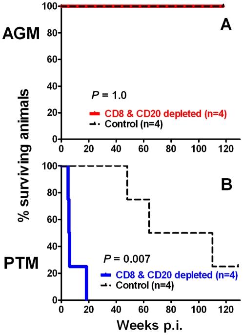 https://cdn.ncbi.nlm.nih.gov/pmc/blobs/0e6b/2785481/1523b3feab94/ppat.1000691.g005.jpg