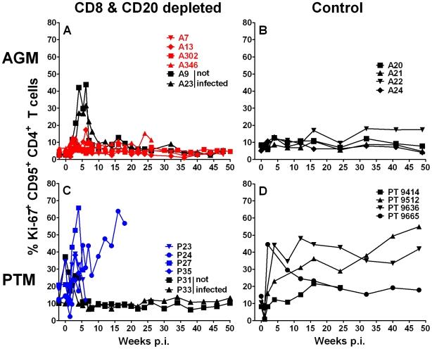 https://cdn.ncbi.nlm.nih.gov/pmc/blobs/0e6b/2785481/1ae749bf5d8a/ppat.1000691.g009.jpg