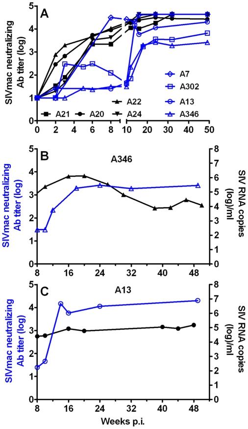 https://cdn.ncbi.nlm.nih.gov/pmc/blobs/0e6b/2785481/819701aa97f9/ppat.1000691.g011.jpg