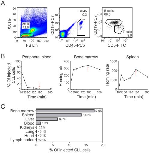 https://cdn.ncbi.nlm.nih.gov/pmc/blobs/0e6c/3158106/f9c4d151c405/pone.0023758.g002.jpg