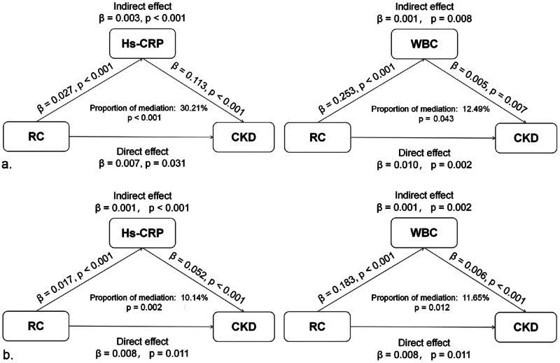 https://cdn.ncbi.nlm.nih.gov/pmc/blobs/0e6e/11168229/2437b7fd4c3a/IRNF_A_2361094_F0003_B.jpg