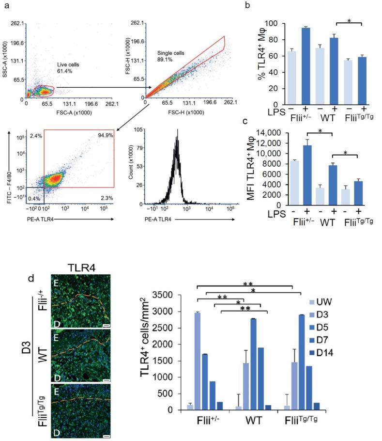 https://cdn.ncbi.nlm.nih.gov/pmc/blobs/0e6e/9318993/b1bfdedaaf52/cells-11-02192-g001.jpg