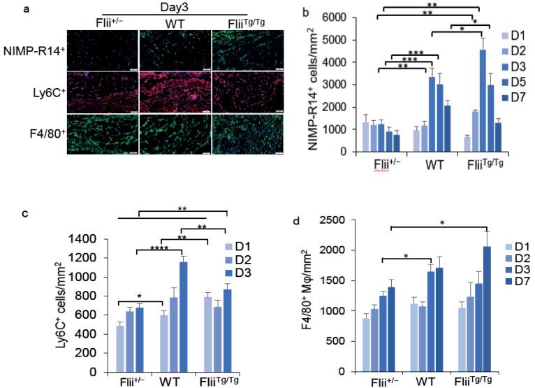 https://cdn.ncbi.nlm.nih.gov/pmc/blobs/0e6e/9318993/c5f5326fa20e/cells-11-02192-g002.jpg