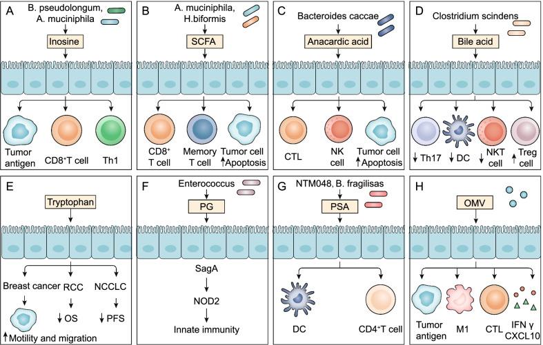 https://cdn.ncbi.nlm.nih.gov/pmc/blobs/0e6f/9052532/02ef16e3d0be/13045_2022_1273_Fig5_HTML.jpg
