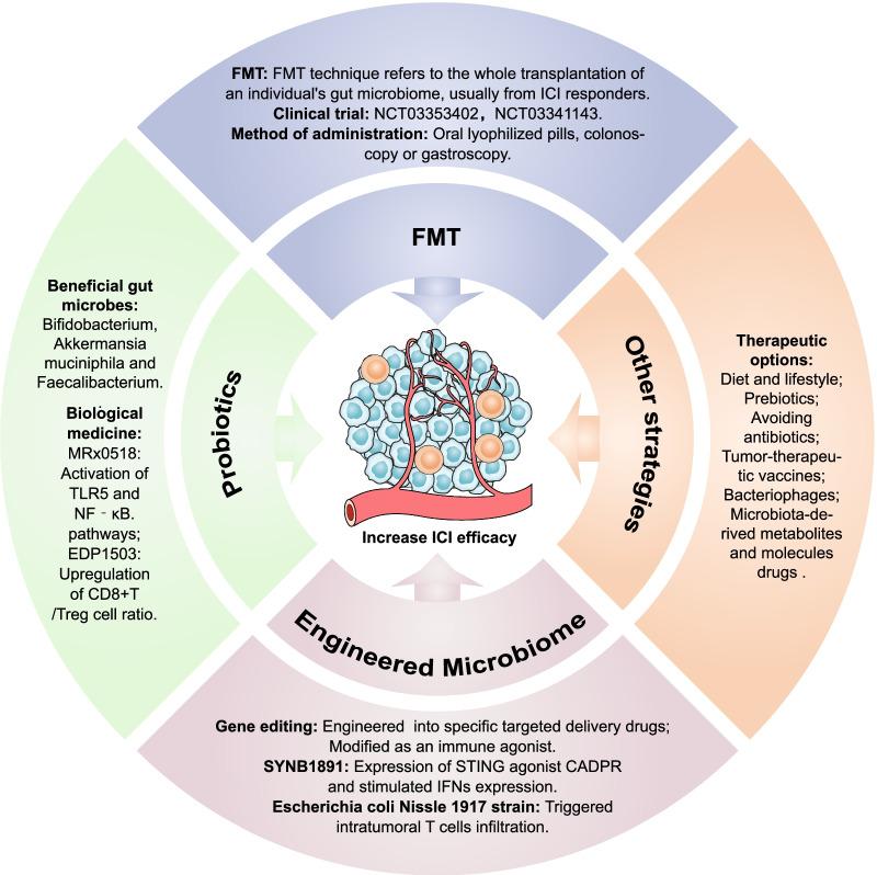 https://cdn.ncbi.nlm.nih.gov/pmc/blobs/0e6f/9052532/71f7bd3141ff/13045_2022_1273_Fig6_HTML.jpg
