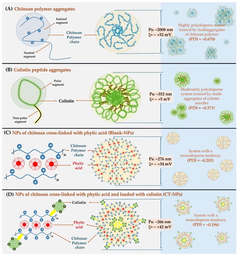 https://cdn.ncbi.nlm.nih.gov/pmc/blobs/0e70/11435368/fb7866cb056a/pharmaceutics-16-01115-g003.jpg