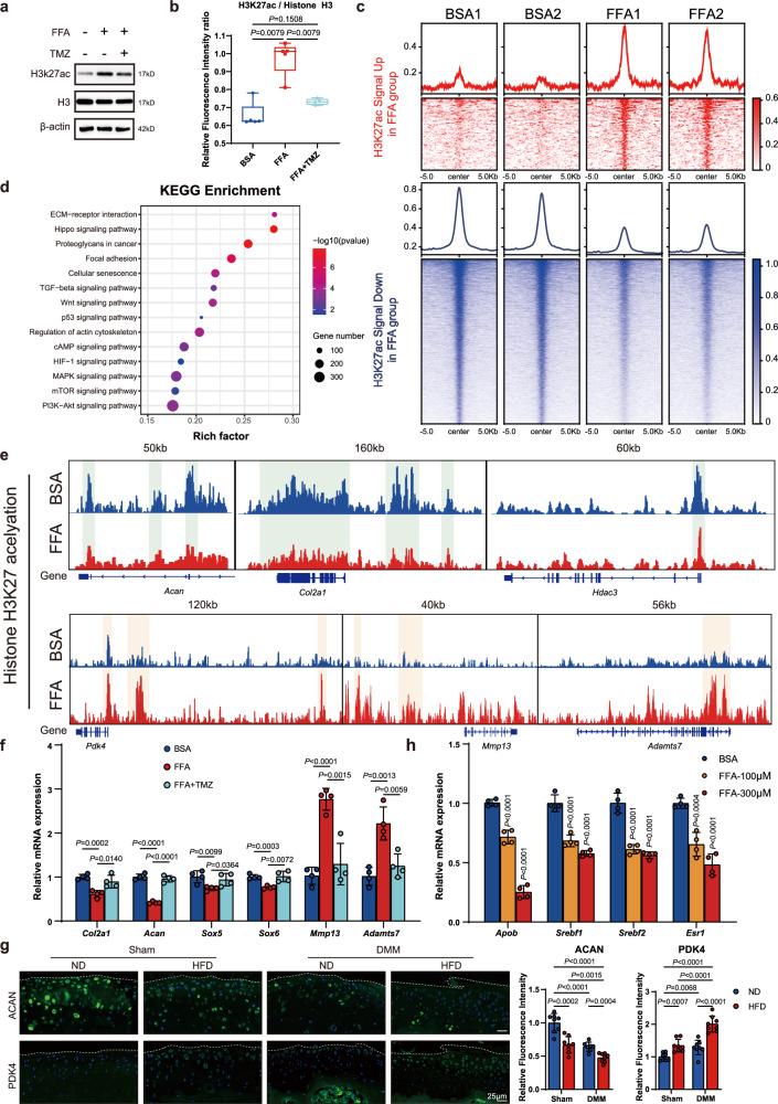 https://cdn.ncbi.nlm.nih.gov/pmc/blobs/0e70/12117060/3be68574175b/41467_2025_60037_Fig5_HTML.jpg