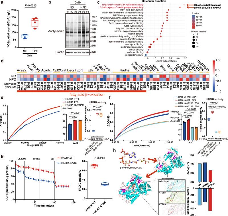 https://cdn.ncbi.nlm.nih.gov/pmc/blobs/0e70/12117060/77f8dd7d2a33/41467_2025_60037_Fig2_HTML.jpg