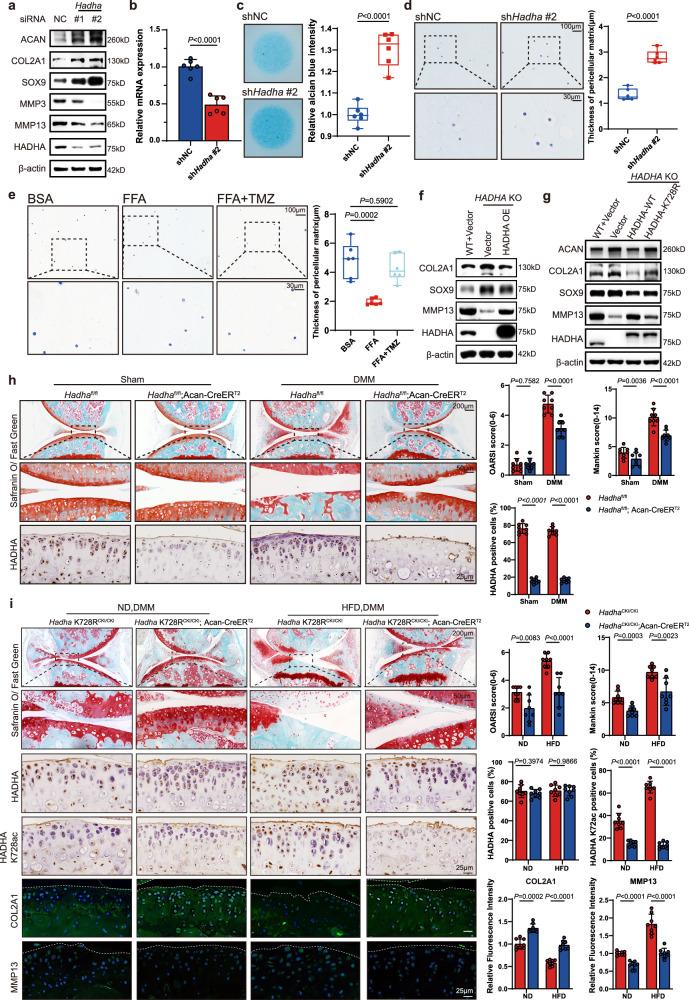 https://cdn.ncbi.nlm.nih.gov/pmc/blobs/0e70/12117060/b8246599f80e/41467_2025_60037_Fig3_HTML.jpg
