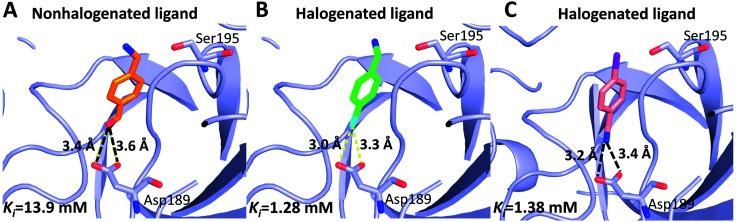 https://cdn.ncbi.nlm.nih.gov/pmc/blobs/0e73/9083945/5b56db166ad2/c8ra03145b-f5.jpg