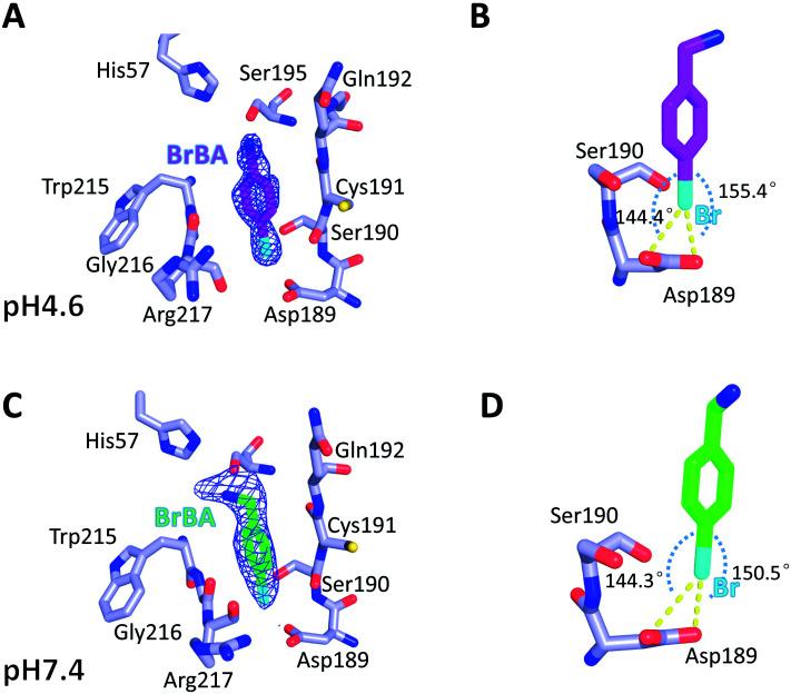 https://cdn.ncbi.nlm.nih.gov/pmc/blobs/0e73/9083945/de41aecc5fcb/c8ra03145b-f2.jpg