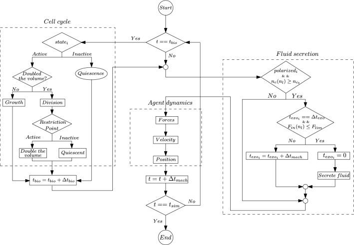 https://cdn.ncbi.nlm.nih.gov/pmc/blobs/0e76/9653332/0075c82c050b/366_2022_1654_Fig3_HTML.jpg