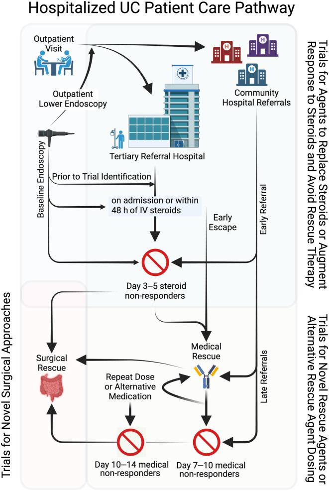 https://cdn.ncbi.nlm.nih.gov/pmc/blobs/0e77/11599782/689157e26321/APT-60-1512-g001.jpg