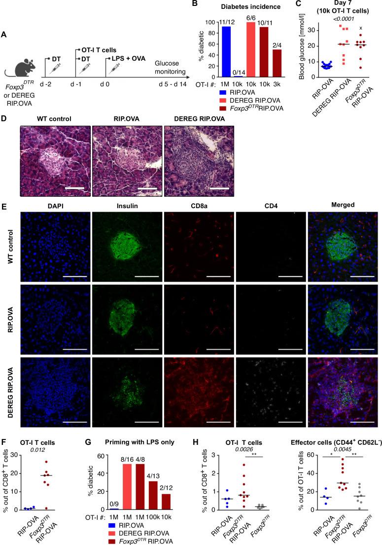 https://cdn.ncbi.nlm.nih.gov/pmc/blobs/0e79/9977273/6b94815c6171/elife-79342-fig1.jpg