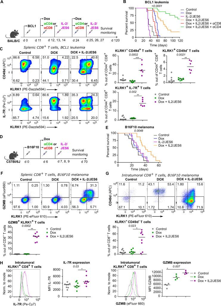 https://cdn.ncbi.nlm.nih.gov/pmc/blobs/0e79/9977273/b851ccbf70e9/elife-79342-fig7.jpg