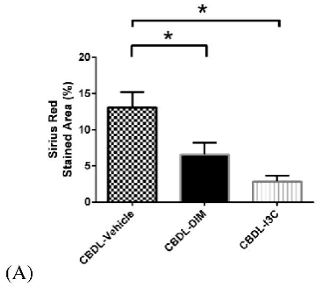 https://cdn.ncbi.nlm.nih.gov/pmc/blobs/0e7a/6747388/21288e07d038/ijms-20-04161-g005a.jpg