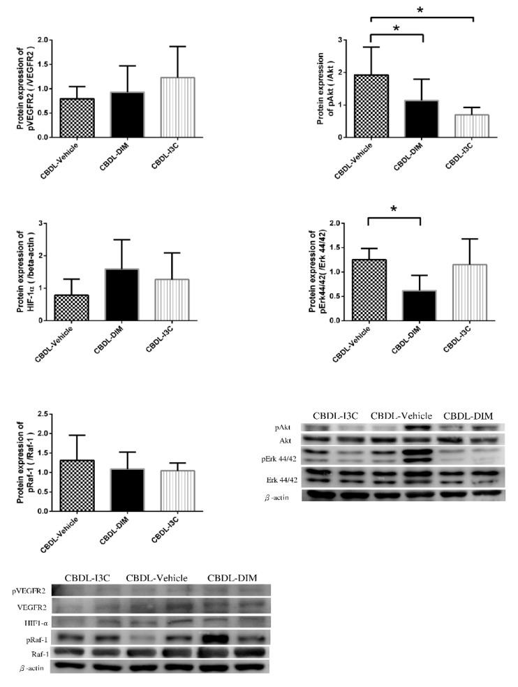 https://cdn.ncbi.nlm.nih.gov/pmc/blobs/0e7a/6747388/c31e46b058d8/ijms-20-04161-g004.jpg