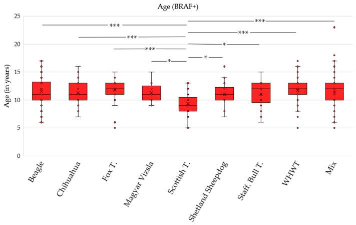 https://cdn.ncbi.nlm.nih.gov/pmc/blobs/0e7d/12390318/1715519cba72/vetsci-12-00729-g005.jpg