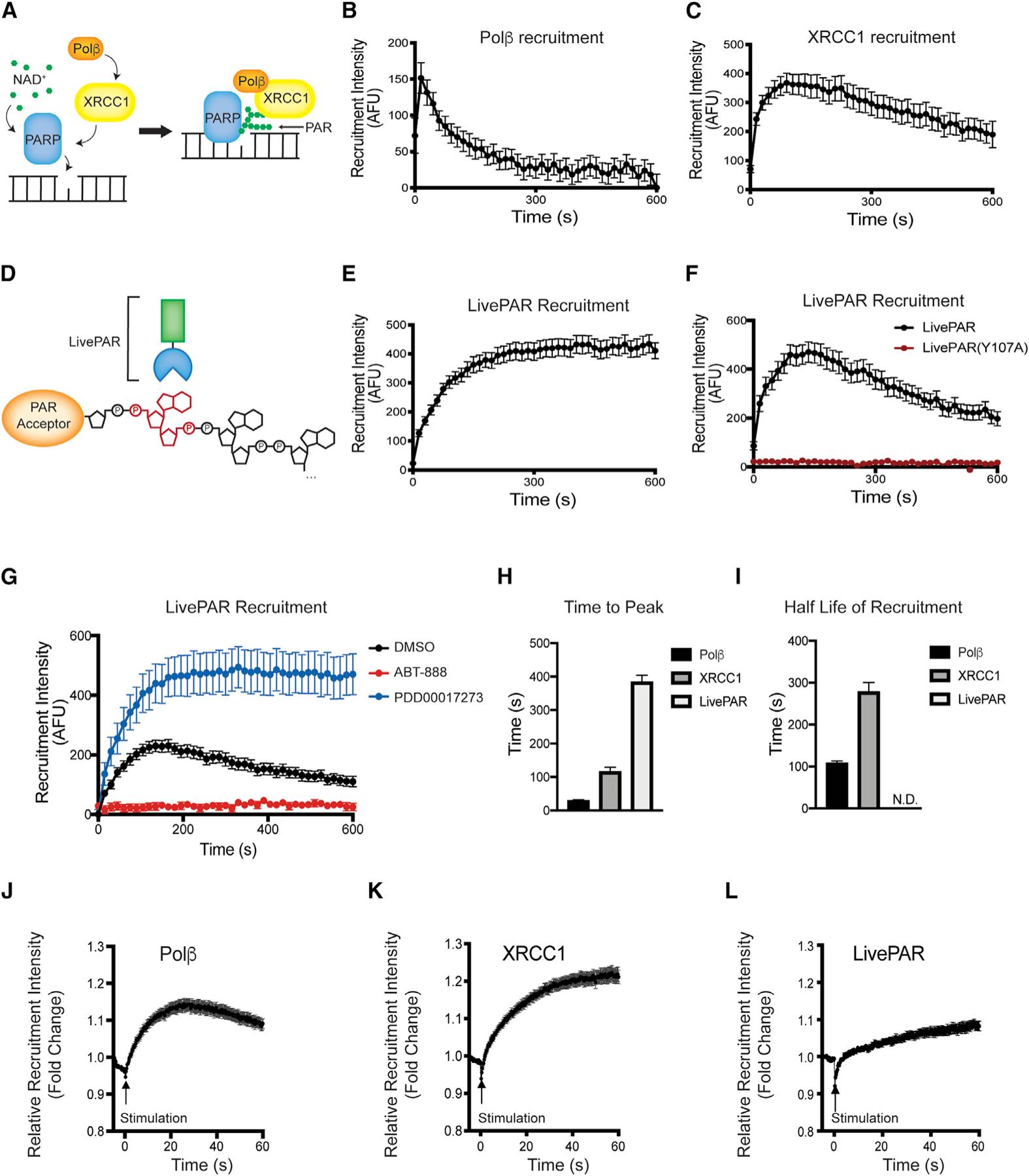 https://cdn.ncbi.nlm.nih.gov/pmc/blobs/0e7e/8607749/03775cc43d07/nihms-1753632-f0002.jpg