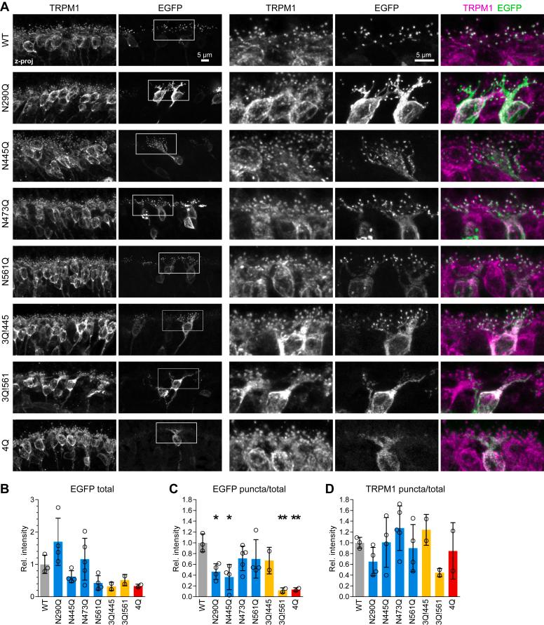 https://cdn.ncbi.nlm.nih.gov/pmc/blobs/0e7f/10973816/12d7fa868b37/gr7.jpg