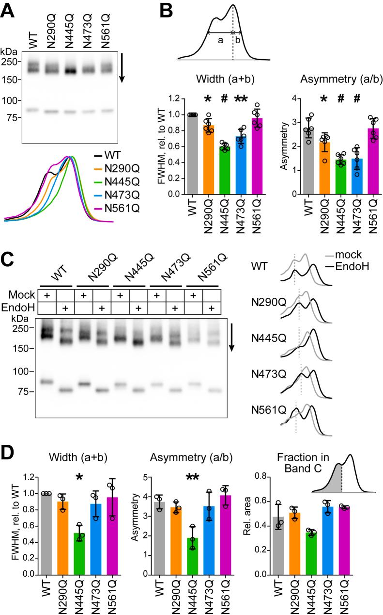 https://cdn.ncbi.nlm.nih.gov/pmc/blobs/0e7f/10973816/b2165da7da7c/gr4.jpg