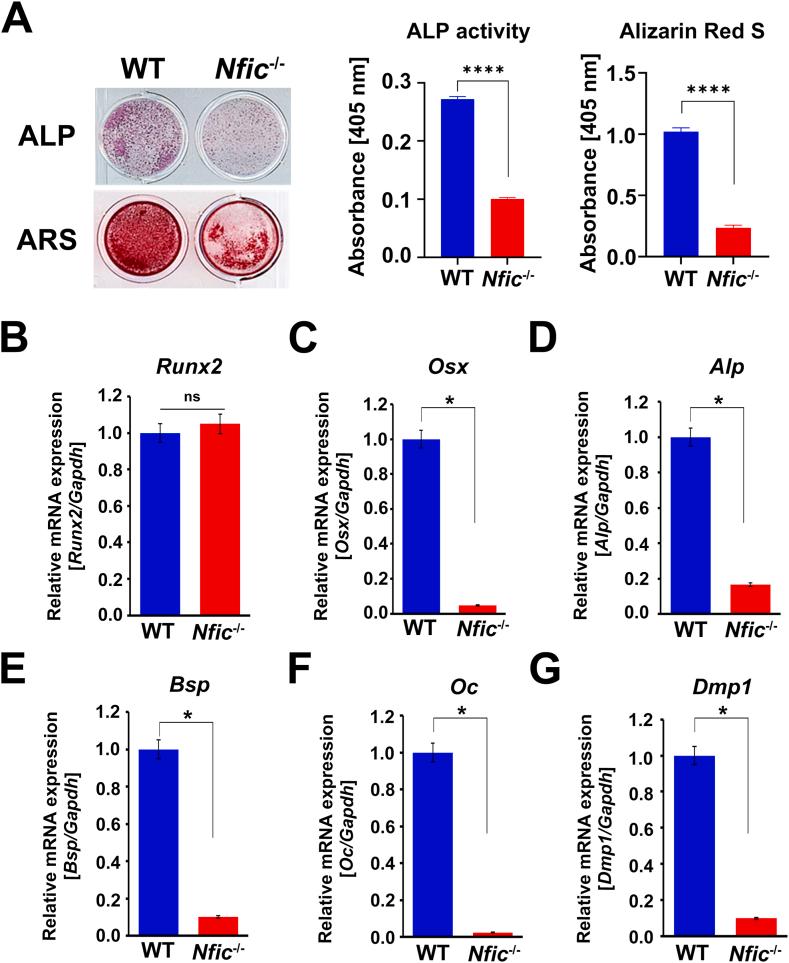 https://cdn.ncbi.nlm.nih.gov/pmc/blobs/0e80/11774937/f3474fe88b4b/gr3.jpg