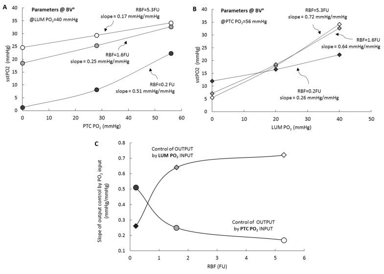 https://cdn.ncbi.nlm.nih.gov/pmc/blobs/0e80/6941061/635070518209/ijms-20-06246-g004.jpg