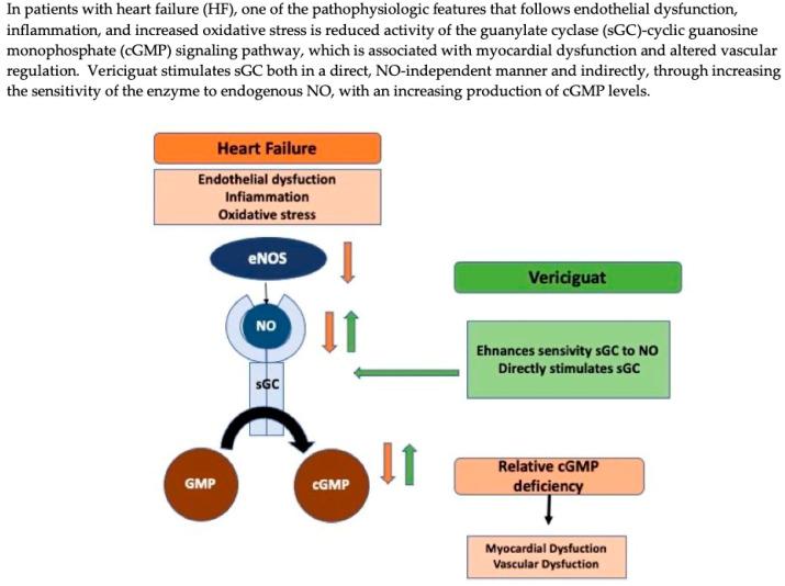 https://cdn.ncbi.nlm.nih.gov/pmc/blobs/0e84/9598881/a91bcf49eae0/biomedicines-10-02471-g001.jpg