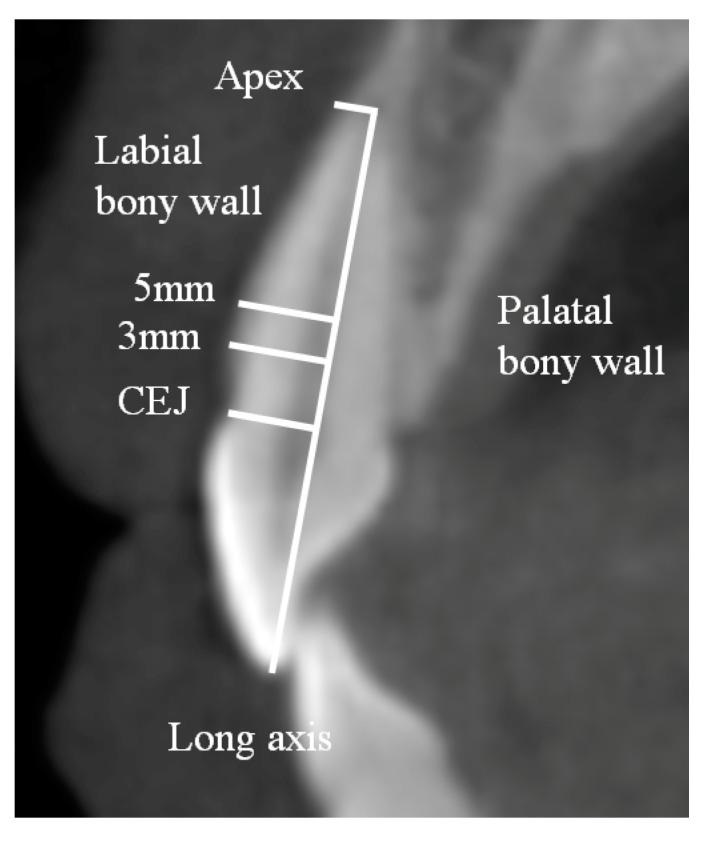 https://cdn.ncbi.nlm.nih.gov/pmc/blobs/0e85/6780569/966dc333ef3b/medicina-55-00565-g001.jpg