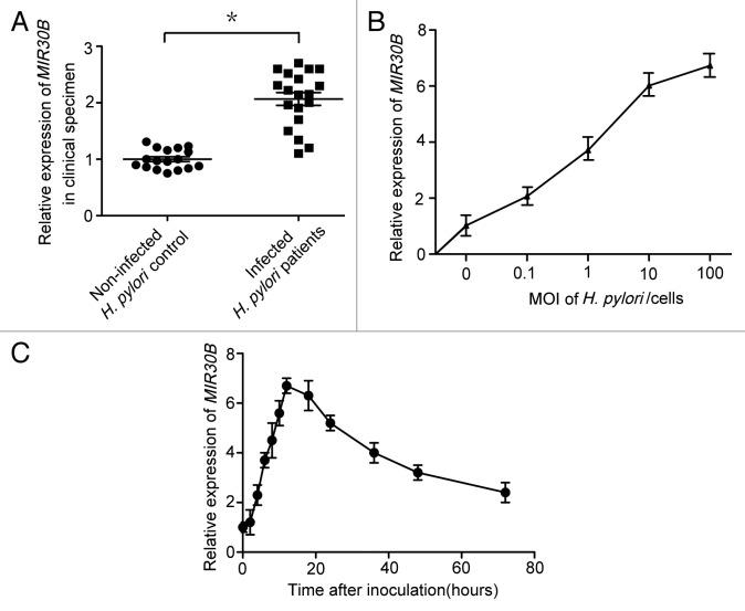 https://cdn.ncbi.nlm.nih.gov/pmc/blobs/0e8a/3429542/e4de5b96efd5/auto-8-1045-g3.jpg