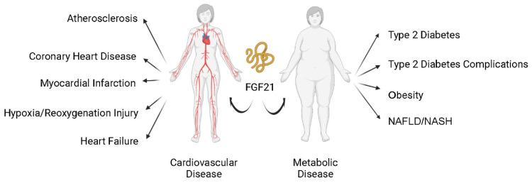 https://cdn.ncbi.nlm.nih.gov/pmc/blobs/0e8b/9760446/4c072bc658aa/ijbsv19p0066g002.jpg