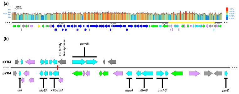 https://cdn.ncbi.nlm.nih.gov/pmc/blobs/0e8c/11429247/4b35252f60b6/biology-13-00652-g001.jpg