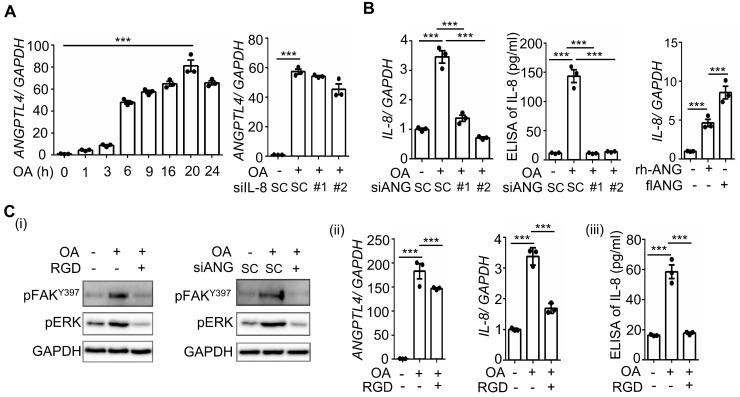 https://cdn.ncbi.nlm.nih.gov/pmc/blobs/0e90/10465226/67f101f7b7e6/thnov13p4650g002.jpg