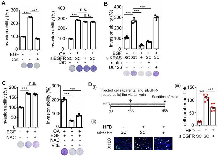 https://cdn.ncbi.nlm.nih.gov/pmc/blobs/0e90/10465226/722d938d2378/thnov13p4650g009.jpg