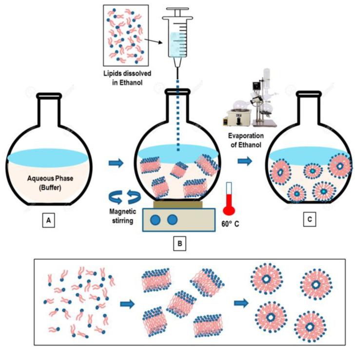 https://cdn.ncbi.nlm.nih.gov/pmc/blobs/0e91/10820119/6bb93e721d31/pharmaceutics-16-00034-g006.jpg