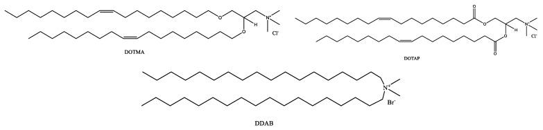 https://cdn.ncbi.nlm.nih.gov/pmc/blobs/0e91/10820119/8d5ed9e0f47a/pharmaceutics-16-00034-g002.jpg