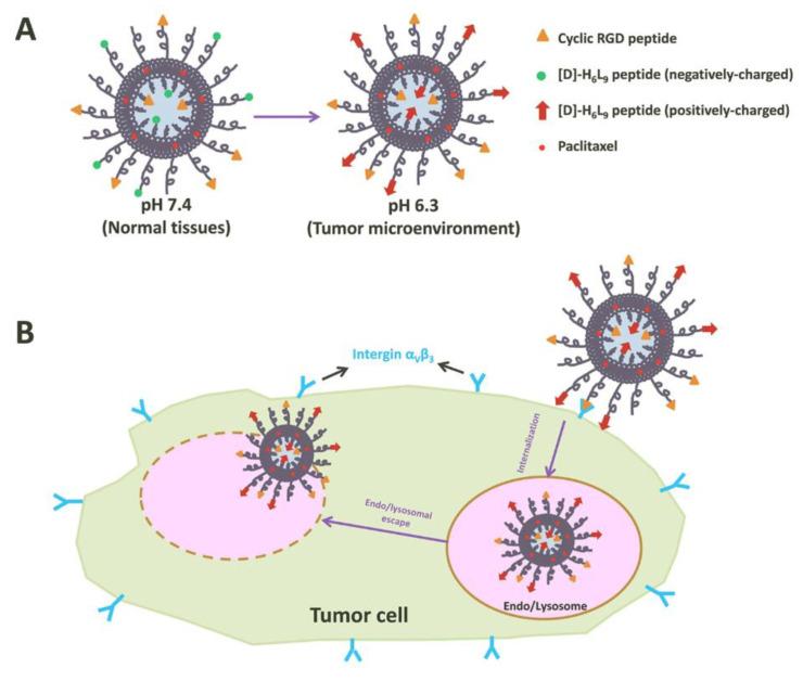 https://cdn.ncbi.nlm.nih.gov/pmc/blobs/0e91/10820119/a8b29ee8bd77/pharmaceutics-16-00034-g008.jpg