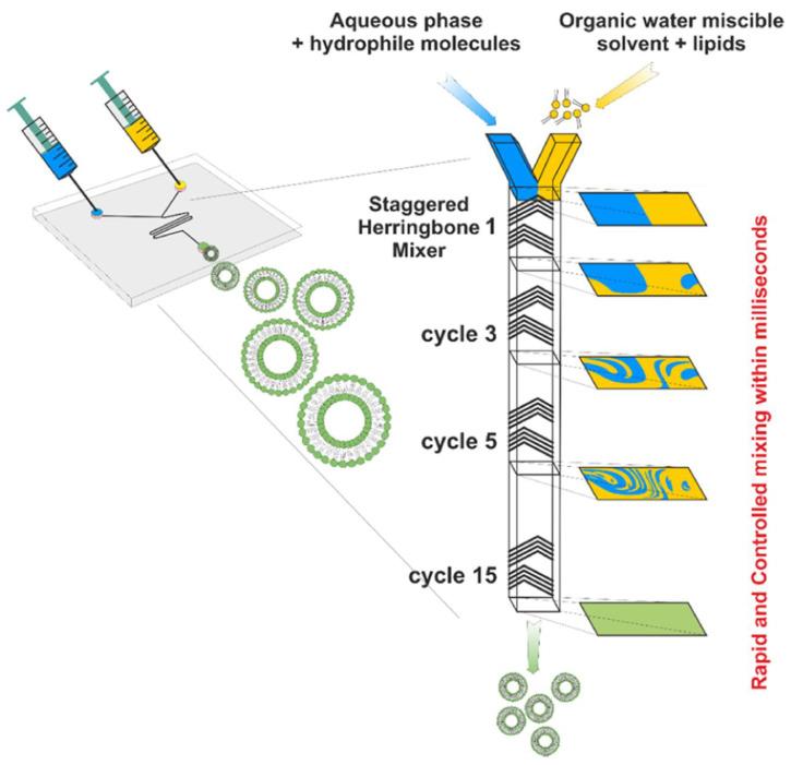 https://cdn.ncbi.nlm.nih.gov/pmc/blobs/0e91/10820119/e7f737ecc857/pharmaceutics-16-00034-g007.jpg