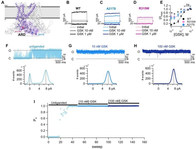 https://cdn.ncbi.nlm.nih.gov/pmc/blobs/0e91/11384909/1ef9d0185d0c/zqae031fig2.jpg